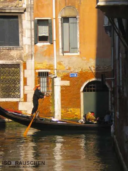 Bild von Karneval in Venedig