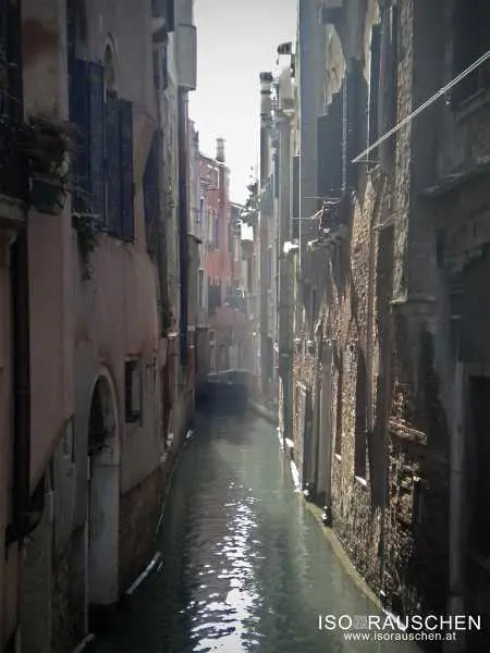 Bild von Karneval in Venedig