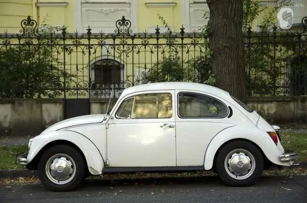 Bild von Mottotour: Autos!
