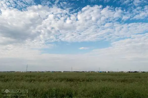 Bild von Nova Rock 2018 - Best of