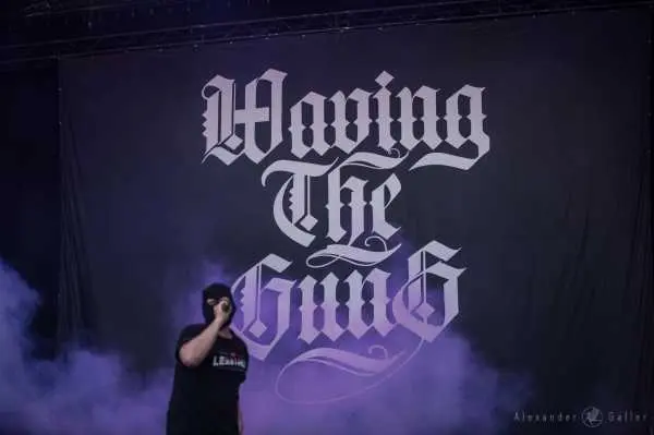 Bild von Waving The Guns