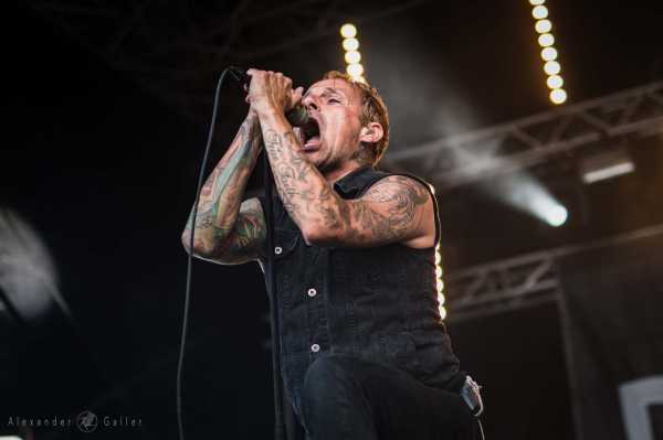Bild von Donots