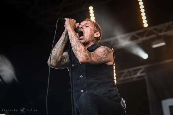 Bild von Donots
