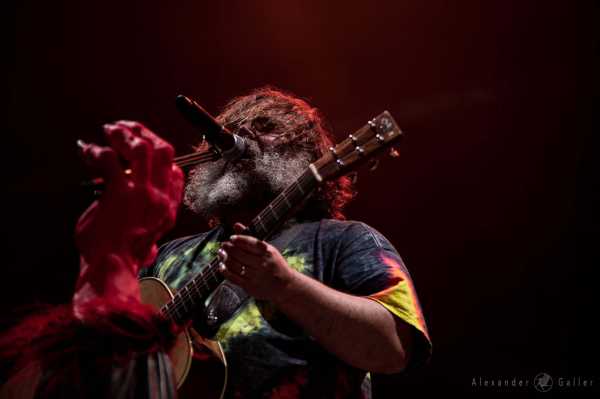 Bild von Tenacious D