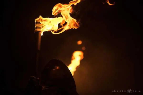 Bild von Parkway Drive