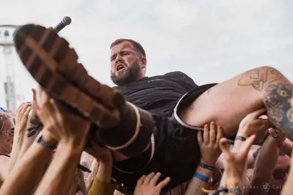 Bild von Feine Sahne Fischfilet