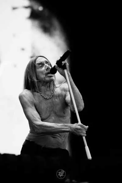 Bild von Day 2 - Iggy Pop