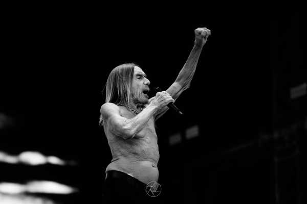 Bild von Day 2 - Iggy Pop