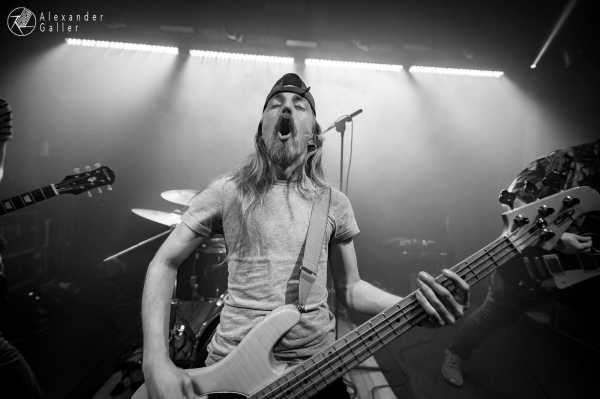 Bild von Chaos Junkies