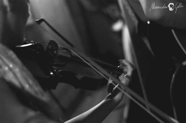 Bild von Schottenfest 2016