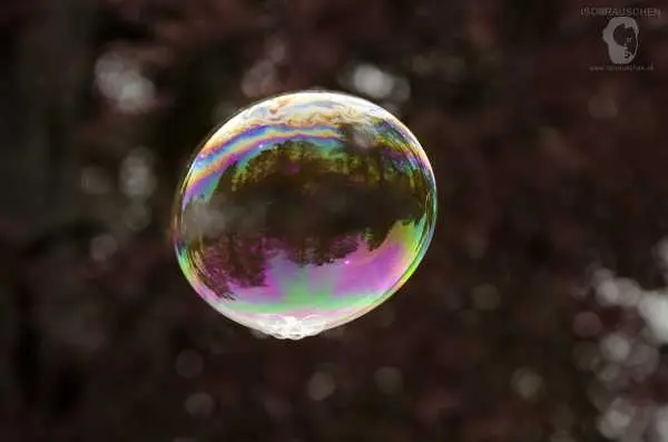 Bild von Seifenblasen mit Dr. Bubbles