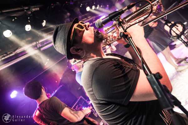 Skolka Bild von Skolka