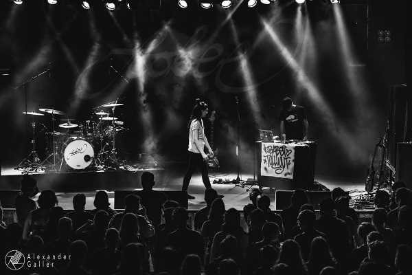 Bild von Babsi Tollwut