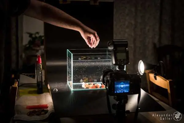 Bild von Einfacher Aufbau