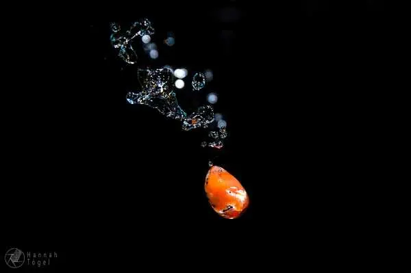 Bild von Nikon D7000, Nikon AF-S DX NIKKOR 18-105 mm 1:3.5-5.6G ED VR