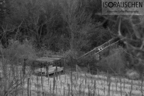 Sunday walks II Bild von Sunday walks II