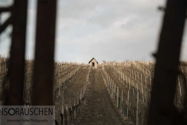 Bild von Sunday walks II