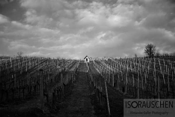 Sunday walks II Bild von Sunday walks II