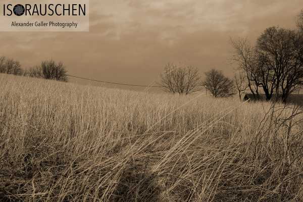 Sunday walks II Bild von Sunday walks II