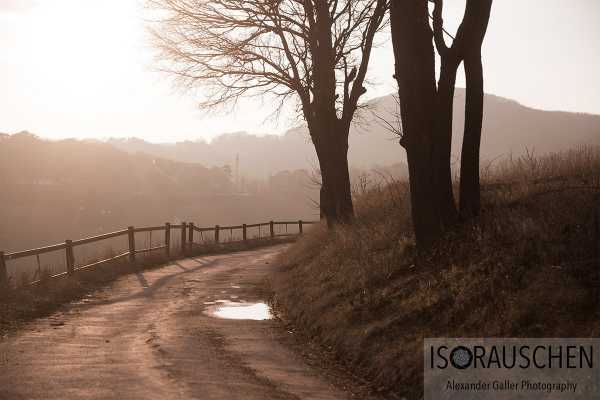 Sunday walks II Bild von Sunday walks II