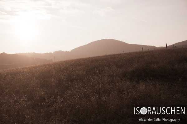 Sunday walks II Bild von Sunday walks II