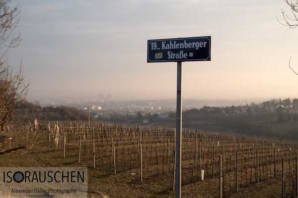 Sunday walks II Bild von Sunday walks II