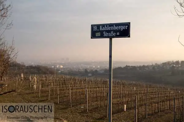 Bild von Sunday walks II