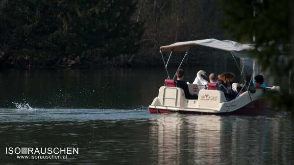 Bild von Tausend-Gulden-Schuss