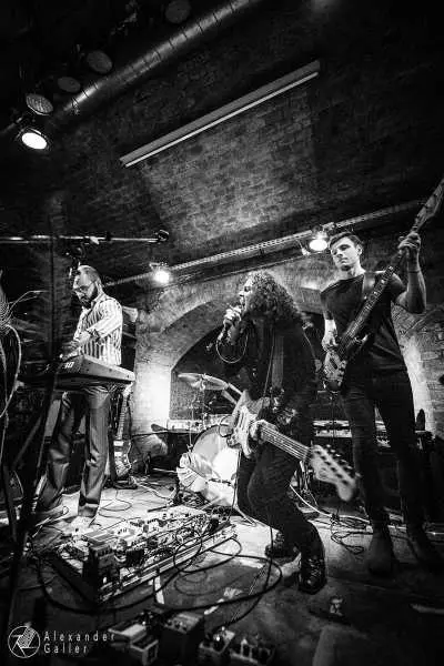 Bild von The LLA