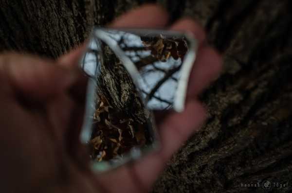 Bild von Hannah, Mirror/Prism