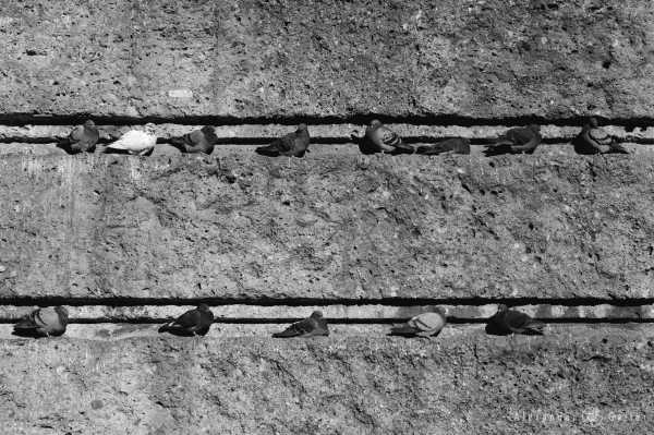 Bild von Alex, Out of focus