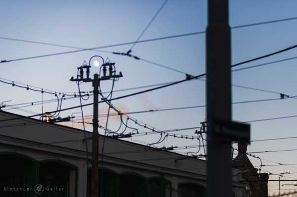 Bild von Alex, Small