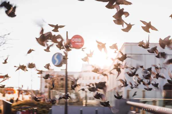 Bild von Hannah, Out of focus