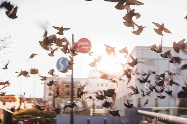 Bild von Hannah, Out of focus