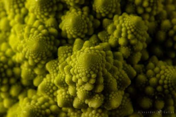 Bild von Alex, Get close