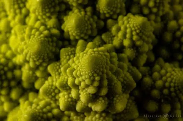 Bild von Alex, Get close