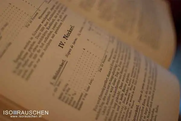 Bild von Urli Omas Gulasch mit Nockerl