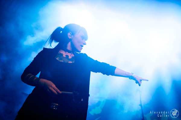 Bild von Mr. Irish Bastard