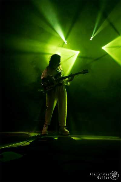 Bild von Kids N Cats