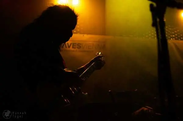 Bild von Go! Go! Gorilla