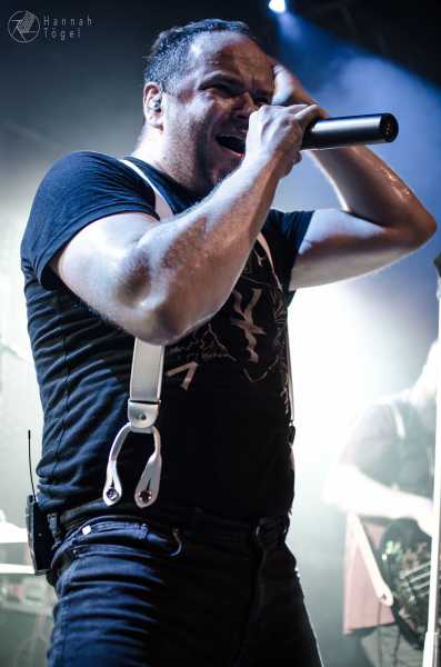 Bild von Go! Go! Gorilla