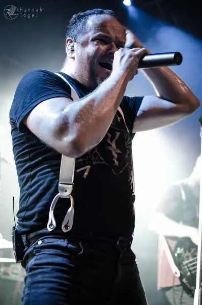 Bild von Go! Go! Gorilla