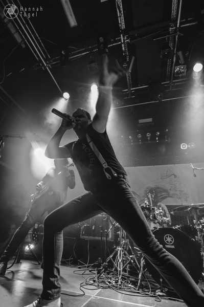 Bild von Go! Go! Gorilla