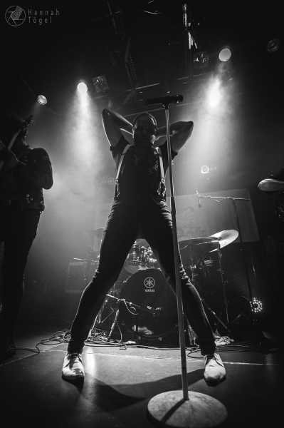 Bild von Go! Go! Gorilla