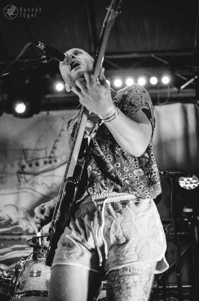 Bild von Vögel Die Erde Essen