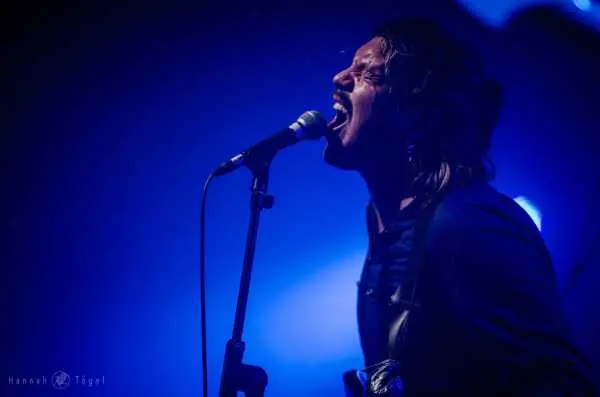 Bild von Hertz Whale by Hannah