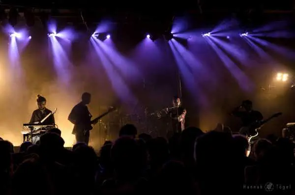 Bild von Takeshis Cashew by Hannah