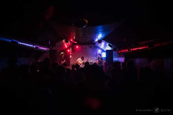 a/lpaca | © Alexander Galler Bild von a/lpaca | © Alexander Galler