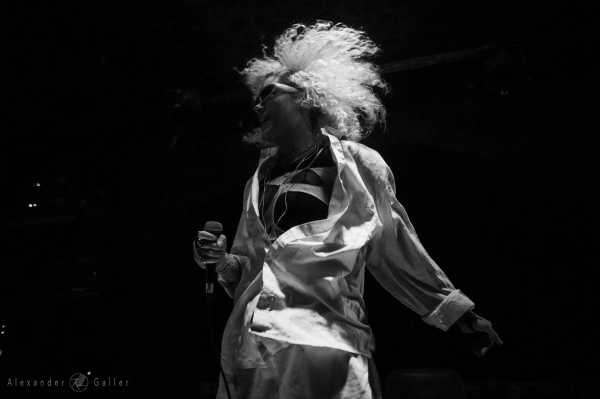 Bild von Elav © Alexander Galler