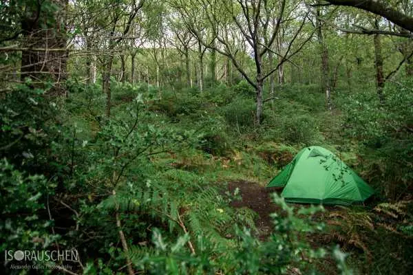 Bild von West Highland Way 2017